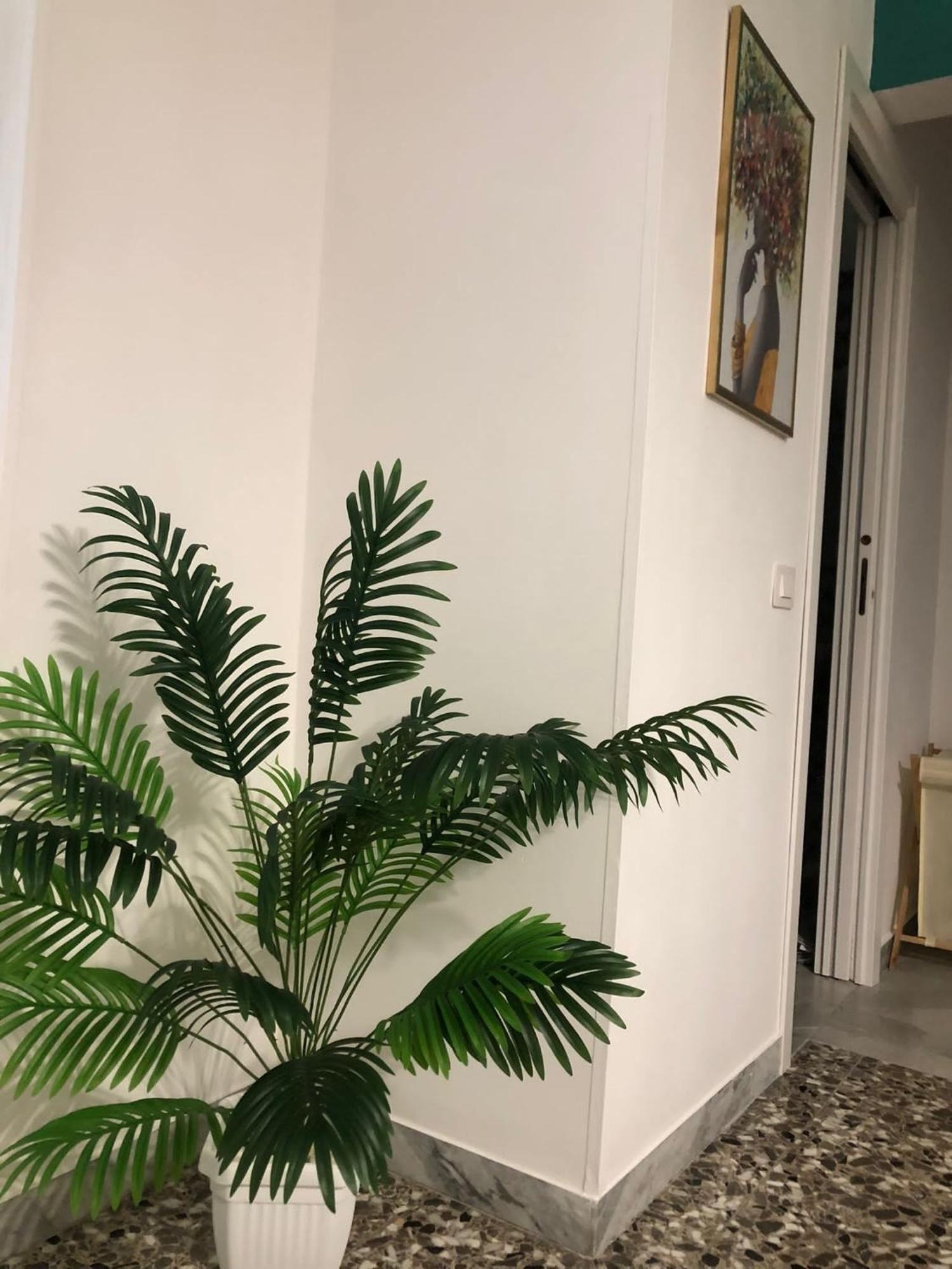Dimora Gallo Fasano Esterno foto
